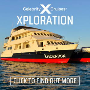 Xploration
